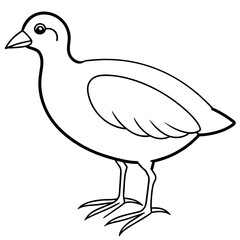 illustration of a bird
