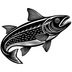 illustration of a fish