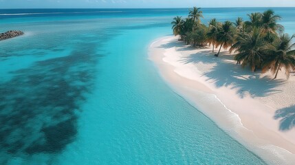 Aerial View of Tropical Beach with Clear Turquoise Water and Palm Trees on a Sunny Day