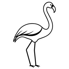 illustration of a flamingo