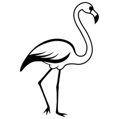 illustration of a flamingo