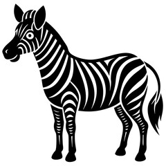 zebra vector illustration