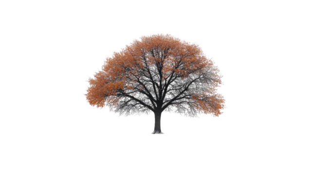 Minimalist tree silhouette on a crisp white backdrop, emphasizing simplicity and elegance in design