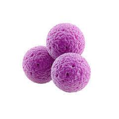 Fototapeta premium Three Bright Purple Spherical Cells on a Soft Background