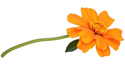 A vibrant orange flower with a long green stem and a leaf.