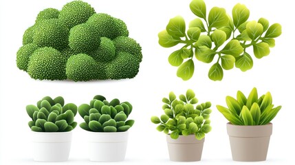 A collection of green plants and succulents in pots.