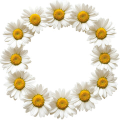 Obraz premium Daisy wreath floral framewhite flowers isolated on a white background