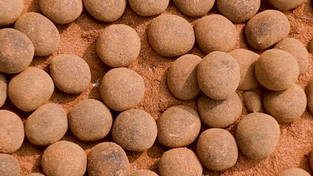 Herbal medicine pills are being dried in the sun after being made.