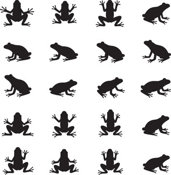 Silhouette Frog icon set collection frog logo with white background