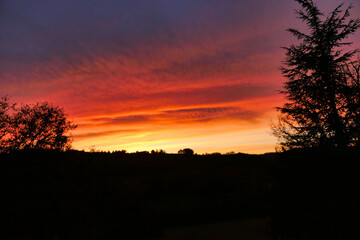 Fir tree silhouetted against the start of a beautiful Dordogne sunset
