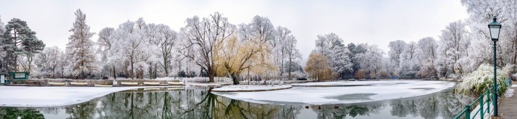 Panoramic View The Frozen Pond