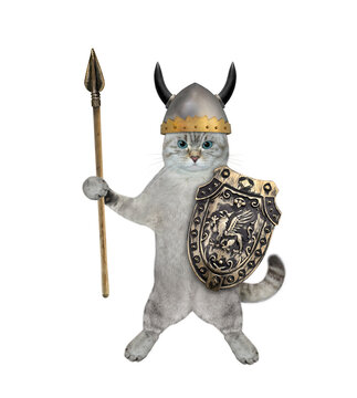 Cat ashen armed with spear and shield