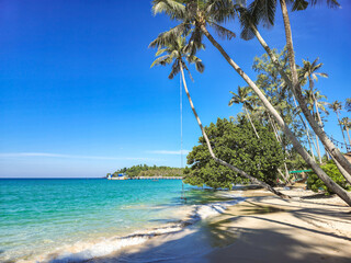 Serenity found on the shores of Koh Kood, Thailand with palms swaying gently in the breeze