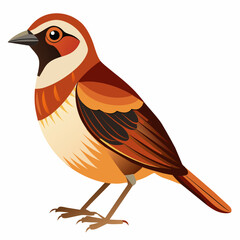 illustration of a bird