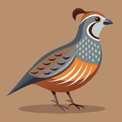 illustration of a bird