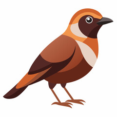 illustration of a bird