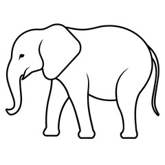 elephant illustration