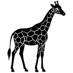 Naklejka premium giraffe vector illustration