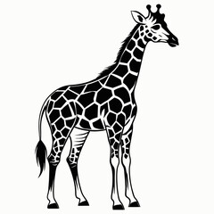 Naklejka premium giraffe vector illustration