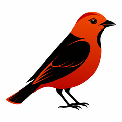 bird on a branch