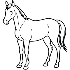 Obraz premium horse illustration
