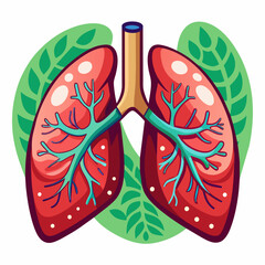 anatomy of the human organs