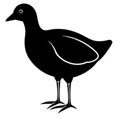 illustration of a bird