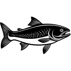 fish on a white background