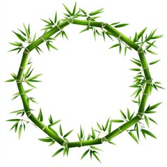 Green Bamboo Branches Forming a Circular Frame