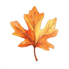 Fototapeta premium Single Autumn Leaf Watercolor Painting Illustration
