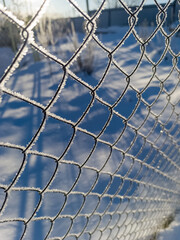 A chain link fence covered in frost on a sunny day