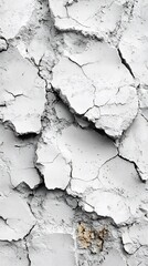 Obraz premium Close-Up Photo: Intricately Cracked Dry Clay Texture, Starkly Monochromatic Detail. AI Generated