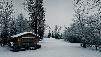 snow covered Chalet