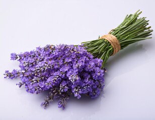 Lavender flowers bundle on a white background