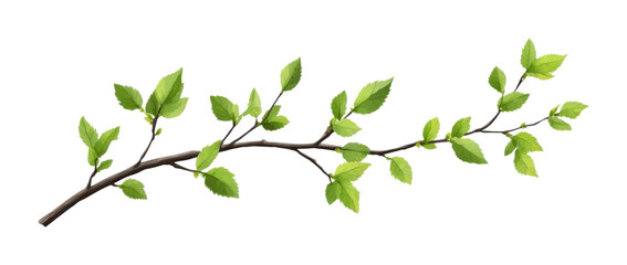 Branch with vibrant green leaves, detailed botanical element for natural design, realistic foliage for decor or illustration isolated on transparent background