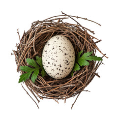 Obraz premium Small Speckled Egg Nestled in Natural Woven Nest