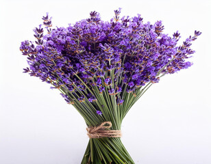 Lavender flowers bundle on a white background