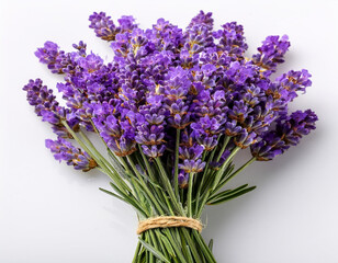 Obraz premium Lavender flowers bundle on a white background