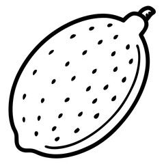 Finger Lime Vibrant Vector Art