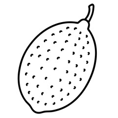 Finger Lime Vibrant Vector Art