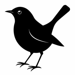 illustration of a bird