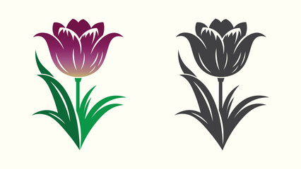 Tulip flower vector illustration. Color  and silhouette.
