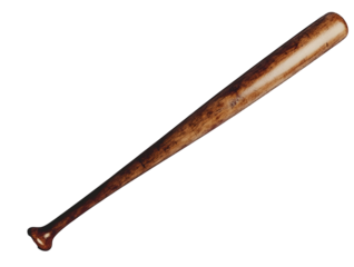 Baseball bat and glove icon with clean aesthetics