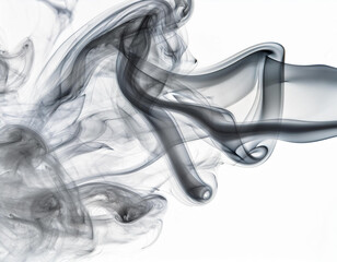hite smoke puff isolated on transparent black background.. Steam explosion special effect. Effective texture of steam, fog, cloud, smoke. Stock royalty illustration. PNG stock illustration