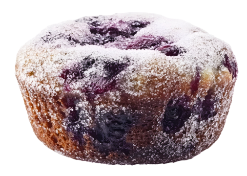 Blueberry Muffin with a Dusting of Icing Sugar