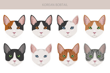 Korean Bobtail Cat clipart. All coat colors set.  All cat breeds characteristics infographic. Vector illustration