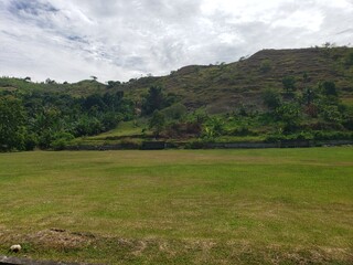 Lush Green Field with a Hillside in the Background
