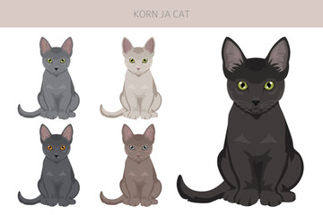 Korn Ja Cat clipart. All coat colors set.  All cat breeds characteristics infographic. Vector illustration