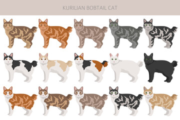 Fototapeta premium Kurilian Bobtail Cat clipart. All coat colors set. All cat breeds characteristics infographic. Vector illustration