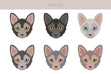 Lykoi Cat clipart. All coat colors set.  All cat breeds characteristics infographic. Vector illustration